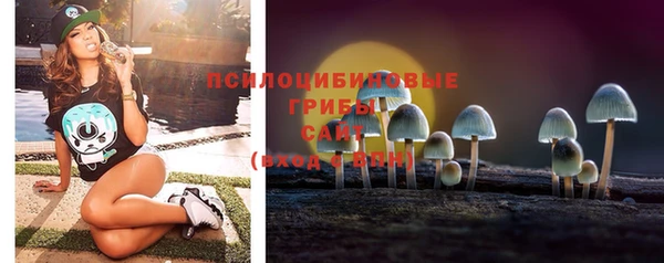 бутират Козельск