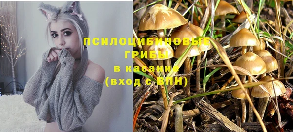 скорость Козловка