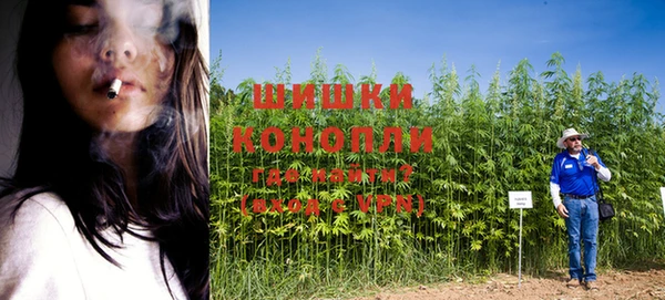 скорость Козловка