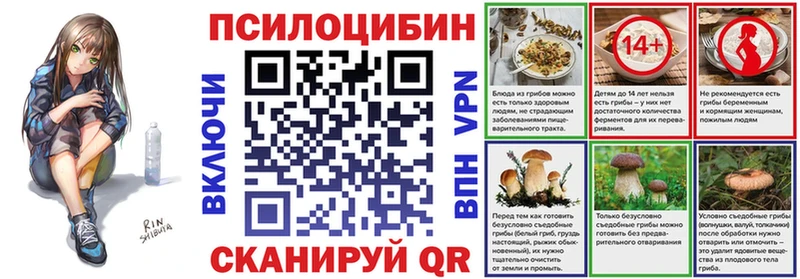 Купить  Ермолино  Псилоцибиновые грибы прущие грибы 