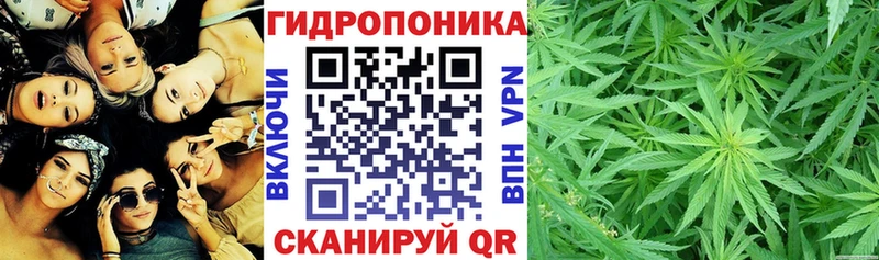 Купить  Ермолино  Бошки марихуана SATIVA & INDICA 